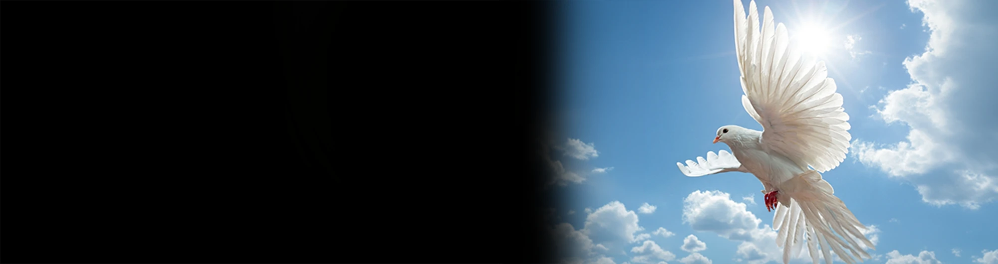 Estudo: Ouvindo a Voz de Deus