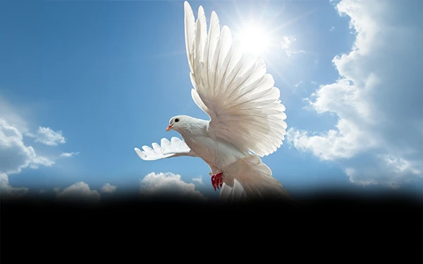 Estudo: Ouvindo a Voz de Deus