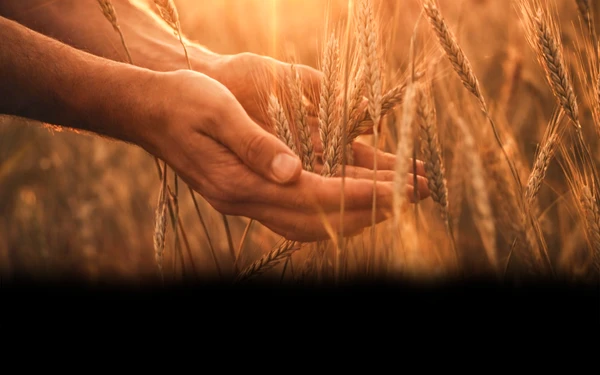 Estudo: Jesus Restaurador da Vida