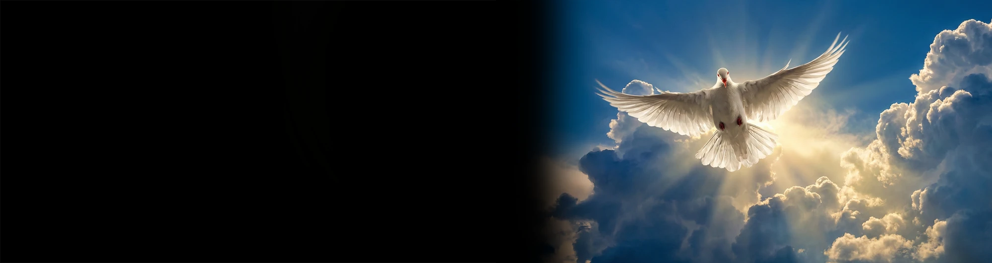 Estudo: Jesus Restaurador da Vida