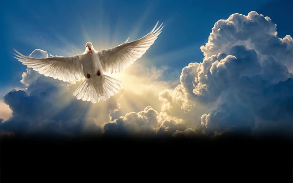 Estudo: Jesus Restaurador da Vida